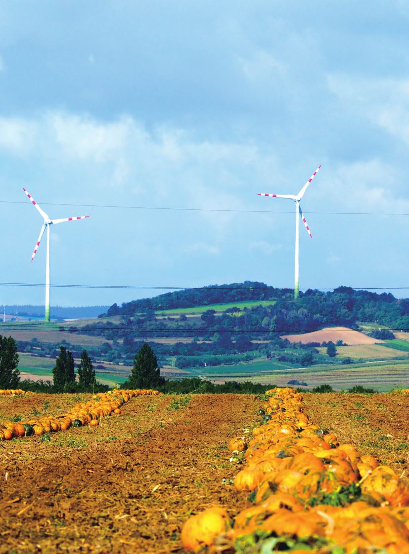 ROD宣传手册 终(1)10.290002.jpg