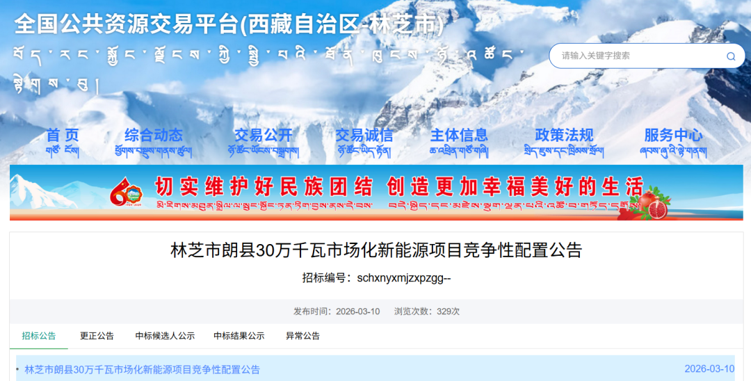 西藏林芝市启动300MW新能源项目竞配