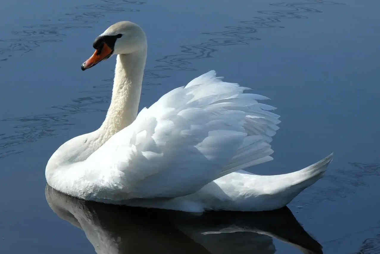 博达新能埃及4GW光伏制造基地投产