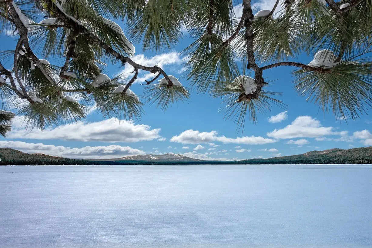 总投资10.5亿元！国电新疆阿拉山口“小改大”30万千瓦风电项目获批