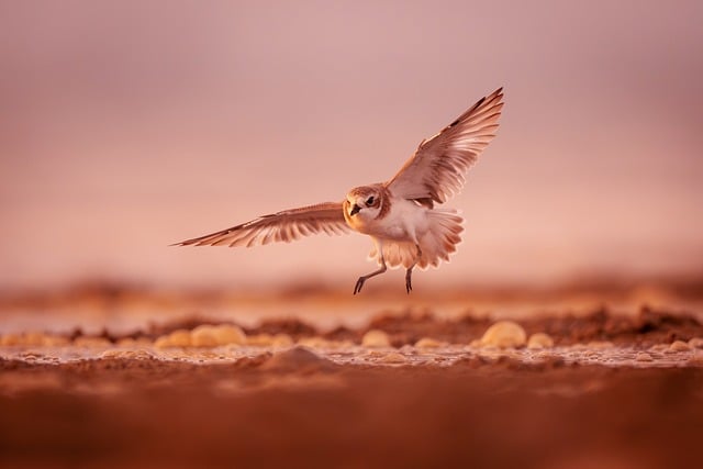 2025 光伏十件大事