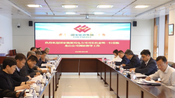 国家能源局电力司赴烟台龙源龙山熔盐储能示范项目调研