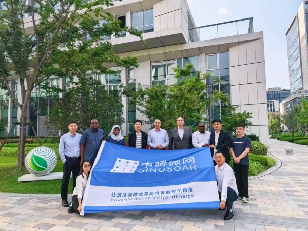 尼日尔微电网项目顺利通过厂验
